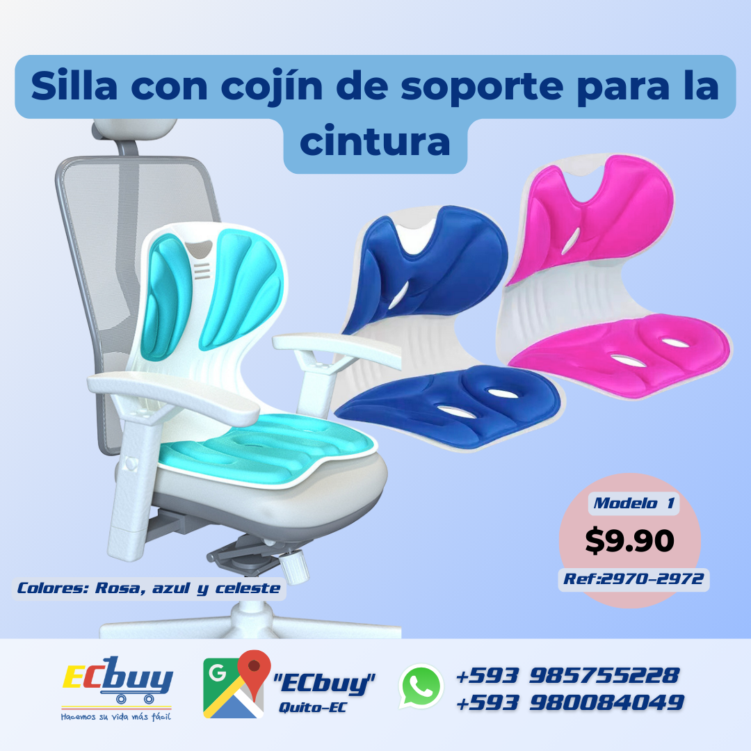 Silla con cojín de soporte para la cintura